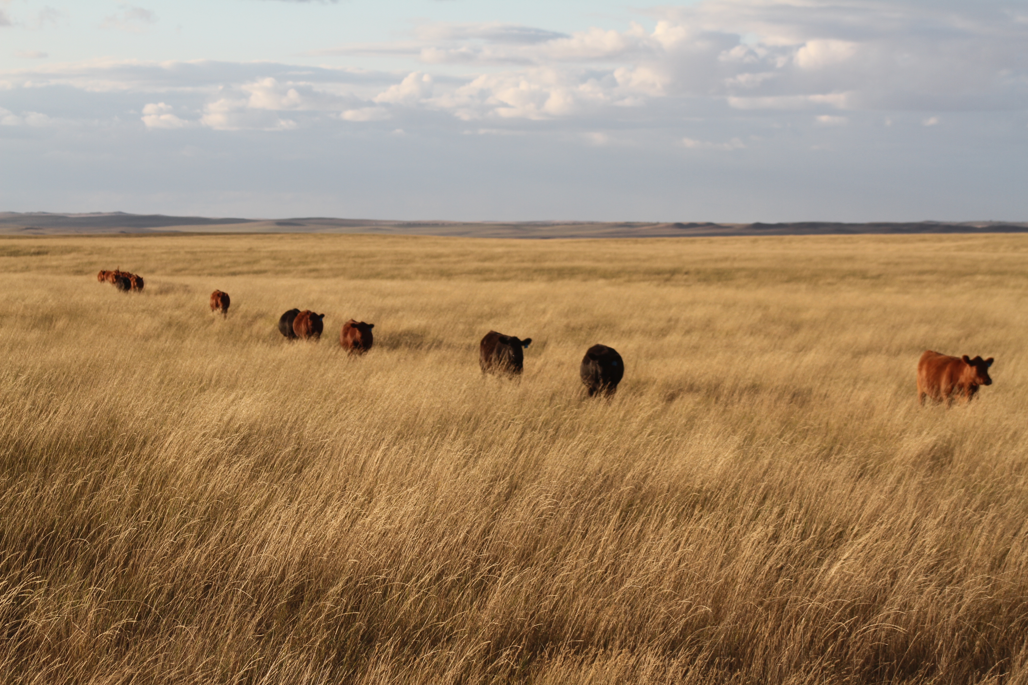Redwater Valley Bank